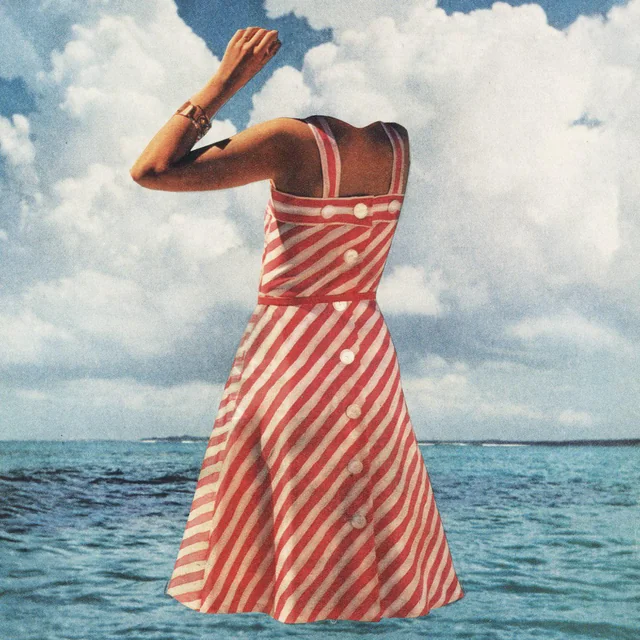 A grainy image of the body of a woman wearing a dress. She has shoulders and a left arm, but no head or legs. The background is a bright sea and a cloud-covered sky.