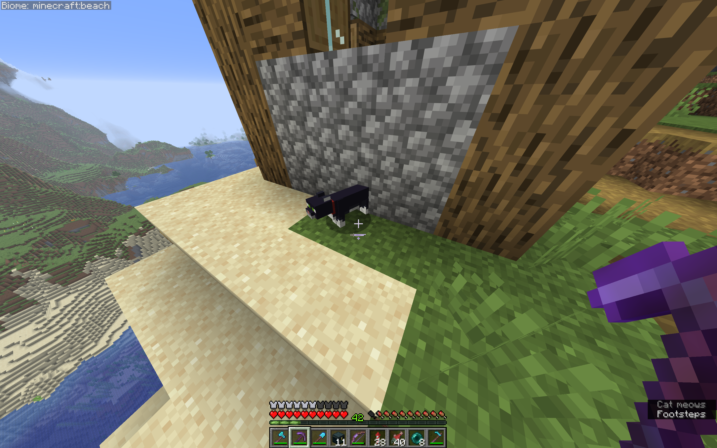 A screenshot of a tamed tuxedo cat in Minecraft. Or at least it looks like a tuxedo cat. It's obviously not a tuxedo cat because I don't have credit for taming a tuxedo cat.
