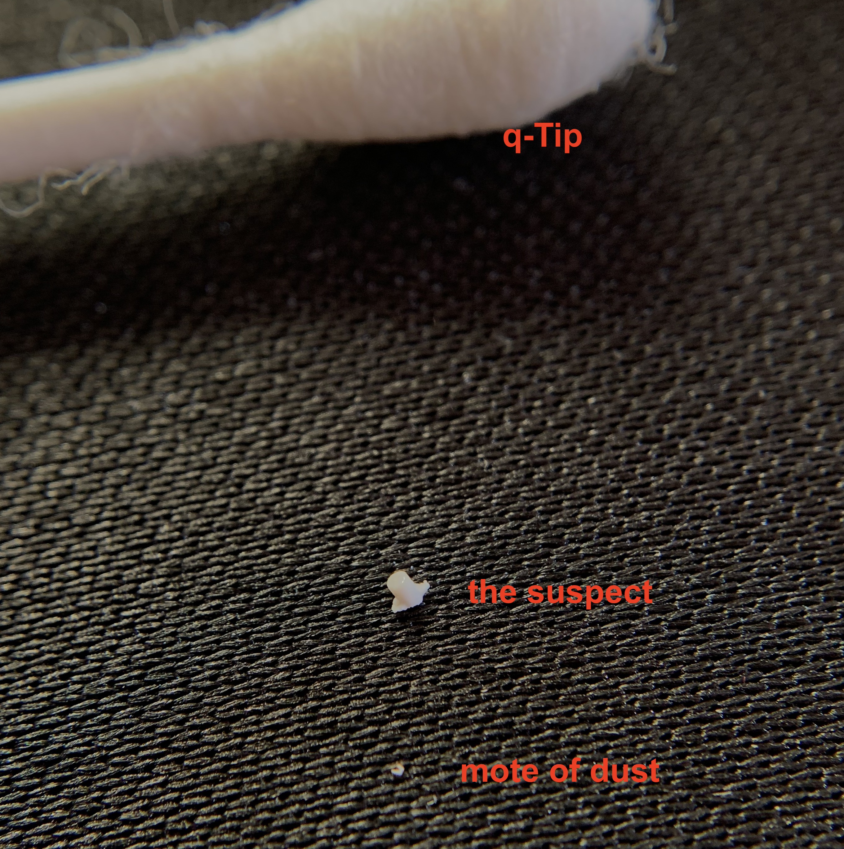 A macro photo of a piece of white plastic, labeled "the suspect." It's bigger than a mote of dust but smaller than a q-tip head, which are also labeled in the picture.